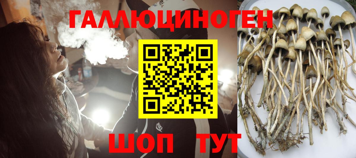 продажа наркотиков  Вход с VPN  Псилоцибиновые грибы Psilocybine cubensis  Псков  Галлюциногенные грибы Magic Shrooms 