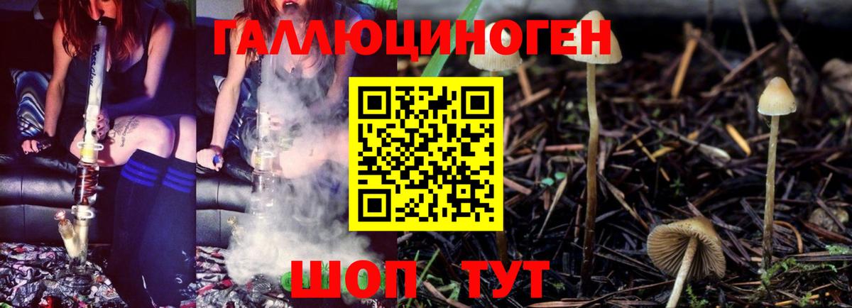 Галлюциногенные грибы MAGIC MUSHROOMS Псков